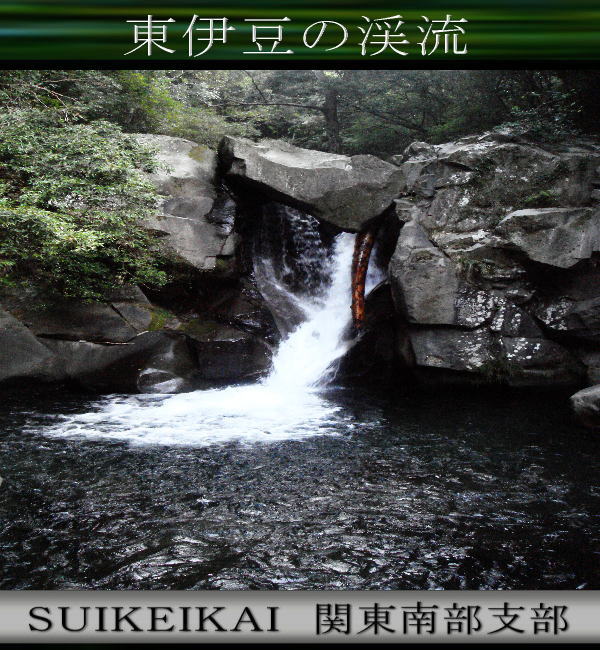 2006第８回【翠渓会・本部遠征】【伊豆方面】第二陣3翠月版 1